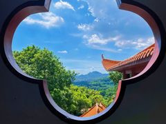 -深圳仙湖植物园