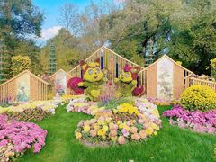 -上海共青森林公园