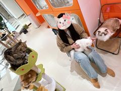 -三花喵·撸猫购宠·宠物生活馆(虹桥南丰城店)