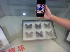 -中国科学院西双版纳热带植物园