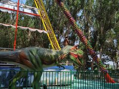 -长白岛森林公园