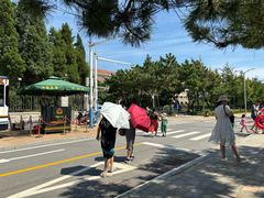 -北戴河东海水浴场
