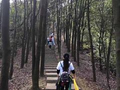 -广州市帽峰山景区