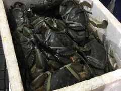 -桥底辣蟹(谢斐道店)