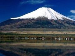 -江户樱花旅馆