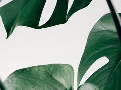 -杭州西湖风景名胜区-满觉陇四眼井