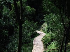 -上海佘山国家森林公园天马山园