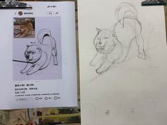 -八哥美术·成人美术画室(总校区)