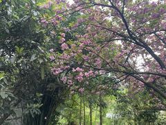 -黔灵山公园