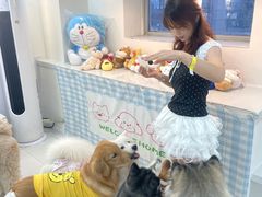 -汪说·狗咖·拼豆·宠物周边DIY(旺城大厦店)