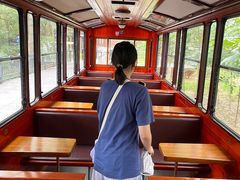 -合肥滨湖国家森林公园