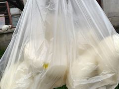 -西园寺素食(西园弄戒幢律寺店)