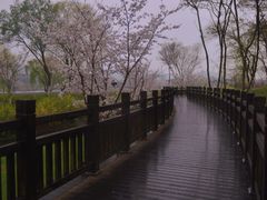 -羊山湖公园
