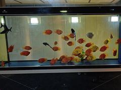 -臻享养生·SPA·影院式足道(汇臻店)