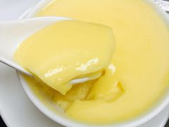 -澳洲牛奶公司(佐敦店)