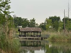 -白鹭湾湿地公园