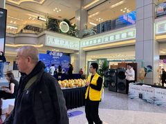 -红星美凯龙北京至尊MALL(东四环中路店)