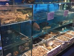 水产区-大城·烧烤海鲜大排档(台东店)