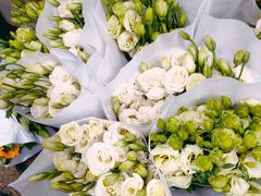 -循礼门鲜花花市(武汉循礼门店)