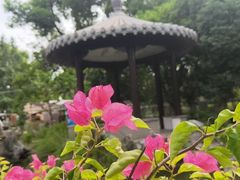 -山明水秀大饭店