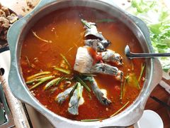 -苗家恒灵酸汤鱼-跳水牛肉连锁店(凯里总店)