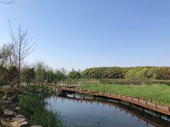 -同里国家湿地公园