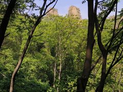 -大岭沟猕猴桃谷风景区