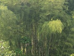 -西湖风景区十里琅珰-五云山