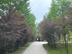-温州永嘉书院
