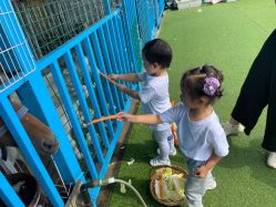 -小蜜蜂农场(凯德七宝购物广场店)