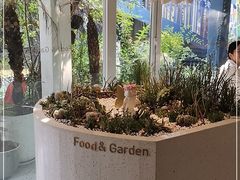 -春树下·树屋花房西餐厅(罍街AS1980店)