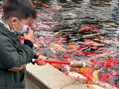 -国色天乡三期陆地乐园