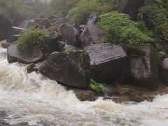 -鹿院坪生态旅游景区