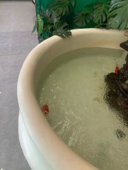 点击看大图 -卡尔诗·科技美肤连锁