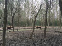 -溱湖国家湿地公园