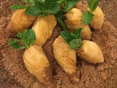 拔萝卜-拂晓山房·私房川菜(西门店)