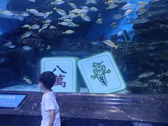 -海合安成都极地海洋公园