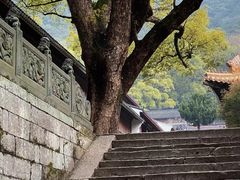 -普陀山风景区-佛顶山