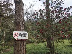 -福清灵石山国家森林公园
