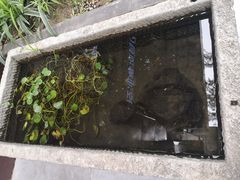 -福瑞记老孙头biangbiang面(新生路店)