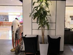 -羲和雅苑•北京烤鸭(国贸商城店)