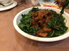 -莆鑫海鲜城(浏河店)