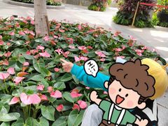 -北京植物园-展览温室