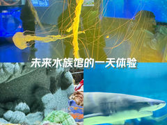 -上海海昌海洋公园
