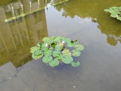 -浙江大学(玉泉校区)