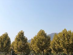 -红旗渠纪念馆