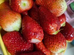 -桔子酒店(合肥淮河路步行街大东门地铁站店)