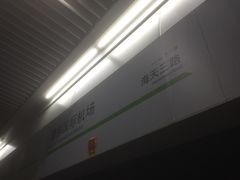 -浦东1号2号航站楼(地铁站)