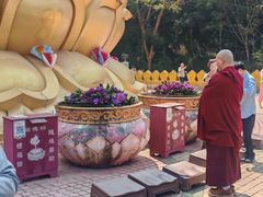 -西双版纳勐泐文化旅游区