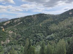 -龙口南山旅游景区